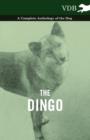 Image for Dingo - A Complete Anthology of the Dog -.