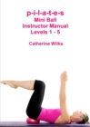 Image for p-i-l-a-t-e-s Mini Ball Instructor Manual - Levels 1 - 5