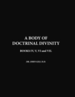 Image for A Body Of Doctrinal Divinity, Book IV, V, VI and VII.