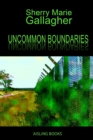 Image for Uncommon Boundaries: Tales and Verse