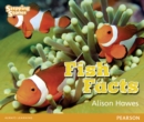 Image for Stepping Stones: Fish Facts - Orange Level