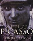 Image for A life of Picasso.: (The triumphant years, 1917-1932)