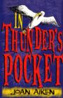 Image for In Thunder&#39;s Pocket