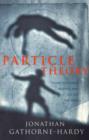 Image for Particle theory: a novel