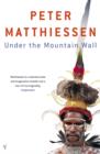 Image for Under the mountain wall: a chronicle of two seasons in Stone Age Guinea