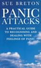 Image for Panic attacks: a practical guide to recognising and dealing with feelings of panic