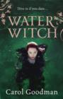 Image for Water witch
