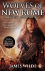 Image for Wolves of new Rome : 4