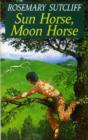 Image for Sun horse, moon horse.