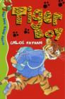 Image for Tiger boy