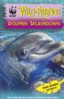 Image for Dolphin splashdown : 7