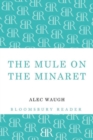 Image for The mule on the minaret  : a novel about the Middle East