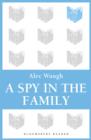 Image for A spy in the family: an erotic comedy