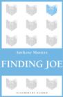 Image for Finding Joe