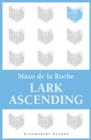 Image for Lark Ascending