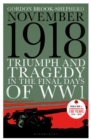 Image for November 1918: triumph and tragedy in the final days of WW1