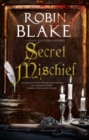Image for Secret Mischief