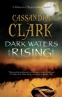 Image for Dark waters rising