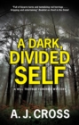 Image for A dark, divided self