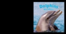 Image for Dolphins Are Smart!