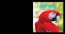 Image for Parrots Are Smart!