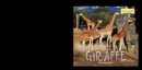 Image for Meet the Giraffe