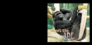 Image for Meet the Ape
