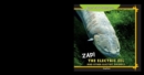 Image for Zap! The Electric Eel and Other Electric Animals