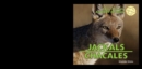 Image for Jackals / Chacales