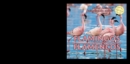 Image for Flamingos / Flamencos
