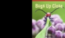 Image for Bugs Up Close
