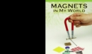 Image for Magnets in My World