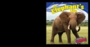 Image for Elephant&#39;s Life