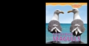 Image for Discovering Seagulls