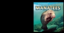 Image for Manatees