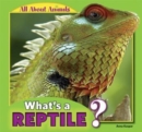 Image for What&#39;s a Reptile?