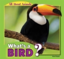 Image for What&#39;s a Bird?