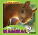 Image for What&#39;s a Mammal?