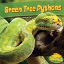 Image for Green Tree Pythons