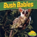 Image for Bush Babies