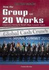 Image for How the Group of 20 Works