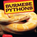 Image for Burmese Pythons