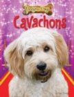 Image for Cavachons