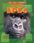 Image for Amazing Apes