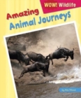 Image for Amazing Animal Journeys