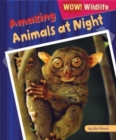 Image for Amazing Animals at Night