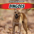 Image for Dingoes