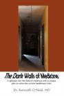 Image for The Dark Walls of Medicine : A View from the Window