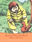Image for Squirrel Boy and Brad