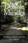 Image for Delicate Miracles